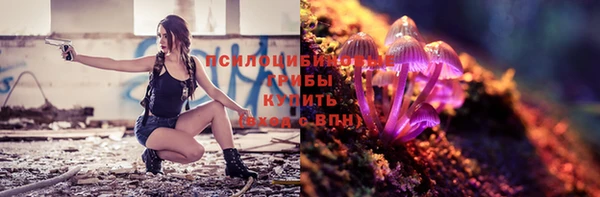 кокс Аркадак
