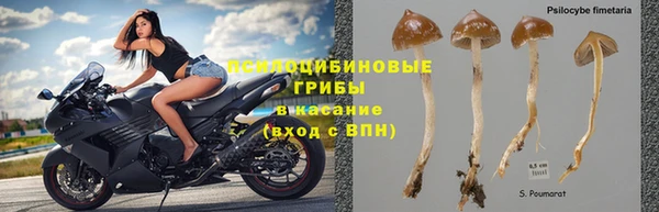 не бодяженный Арсеньев