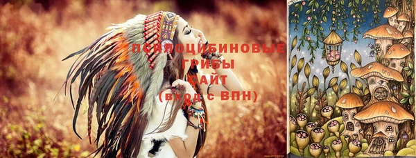 кокс Аркадак