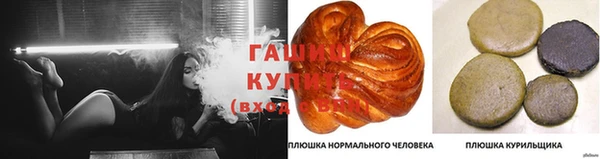 прущая мука Армянск