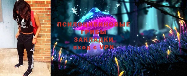 не бодяженный Арсеньев